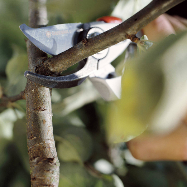 Ножица градинска Gardena за израстъци и издънки с ъглова глава ф 24 мм, Premium BP 50