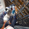 Ъглошлайф Bosch електрически с регулиране на оборотите и плавен старт 1500 W, 125 мм, 2800-11 000 об./мин, GWS 15-125 CIEP - Image 3