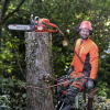 Трион Husqvarna верижен бензинов 2700 W, 45 см, 0.325 ", 545 Mark II - Image 2